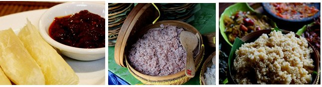 Makanan khas gunung kidul