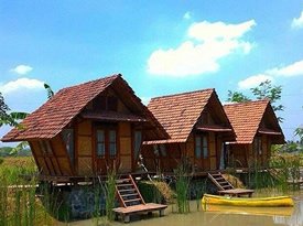 desa wisata boro